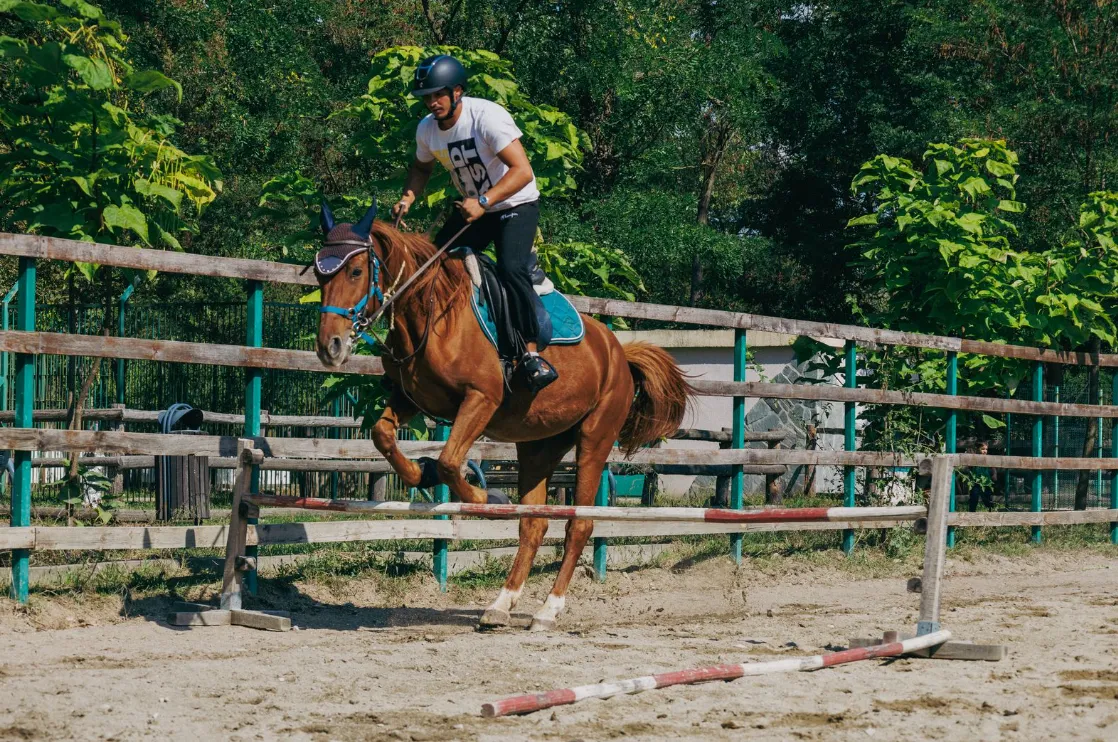 Echitație si Calarie Fratii Lupi